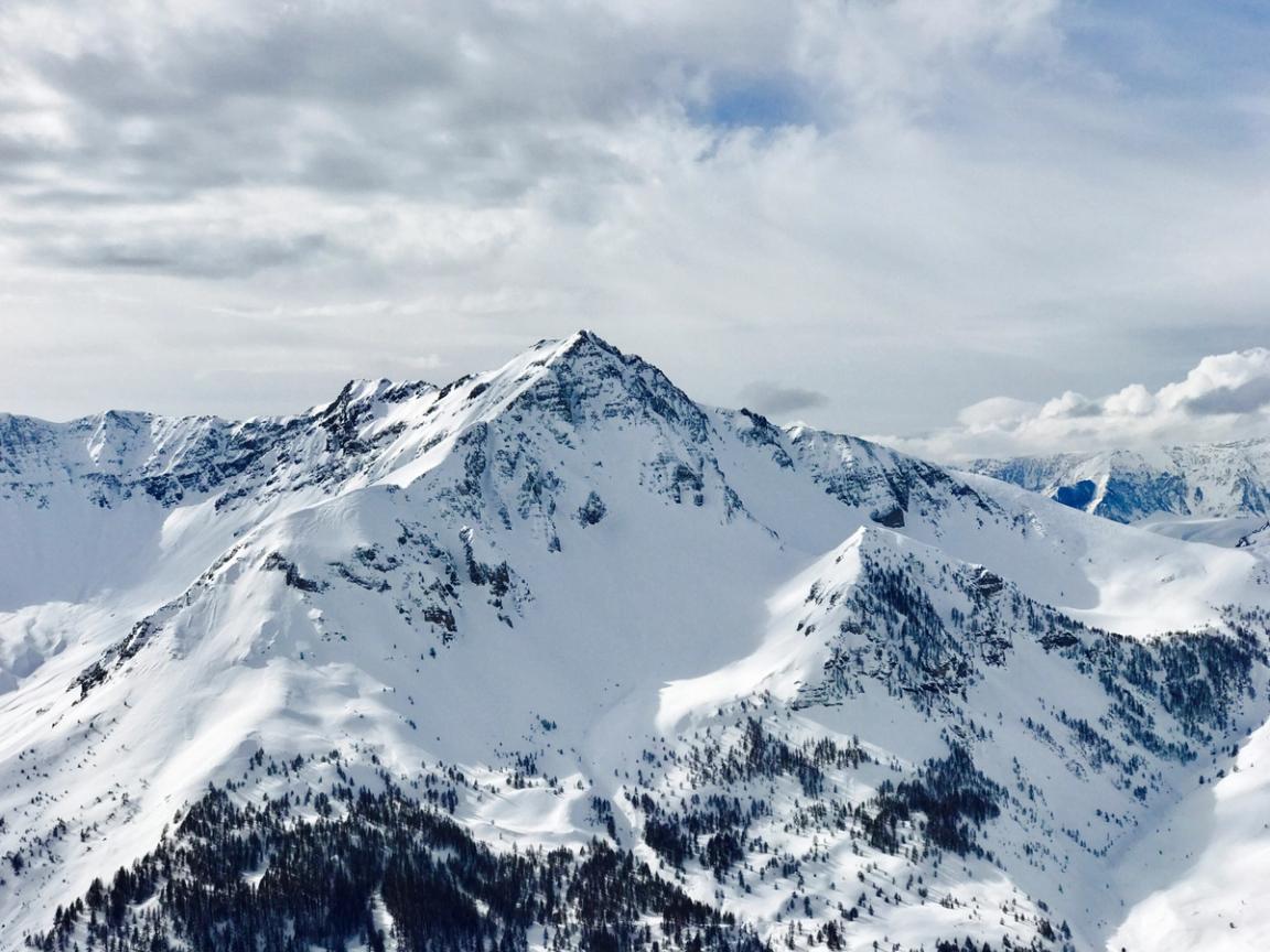 Auron — photo 2