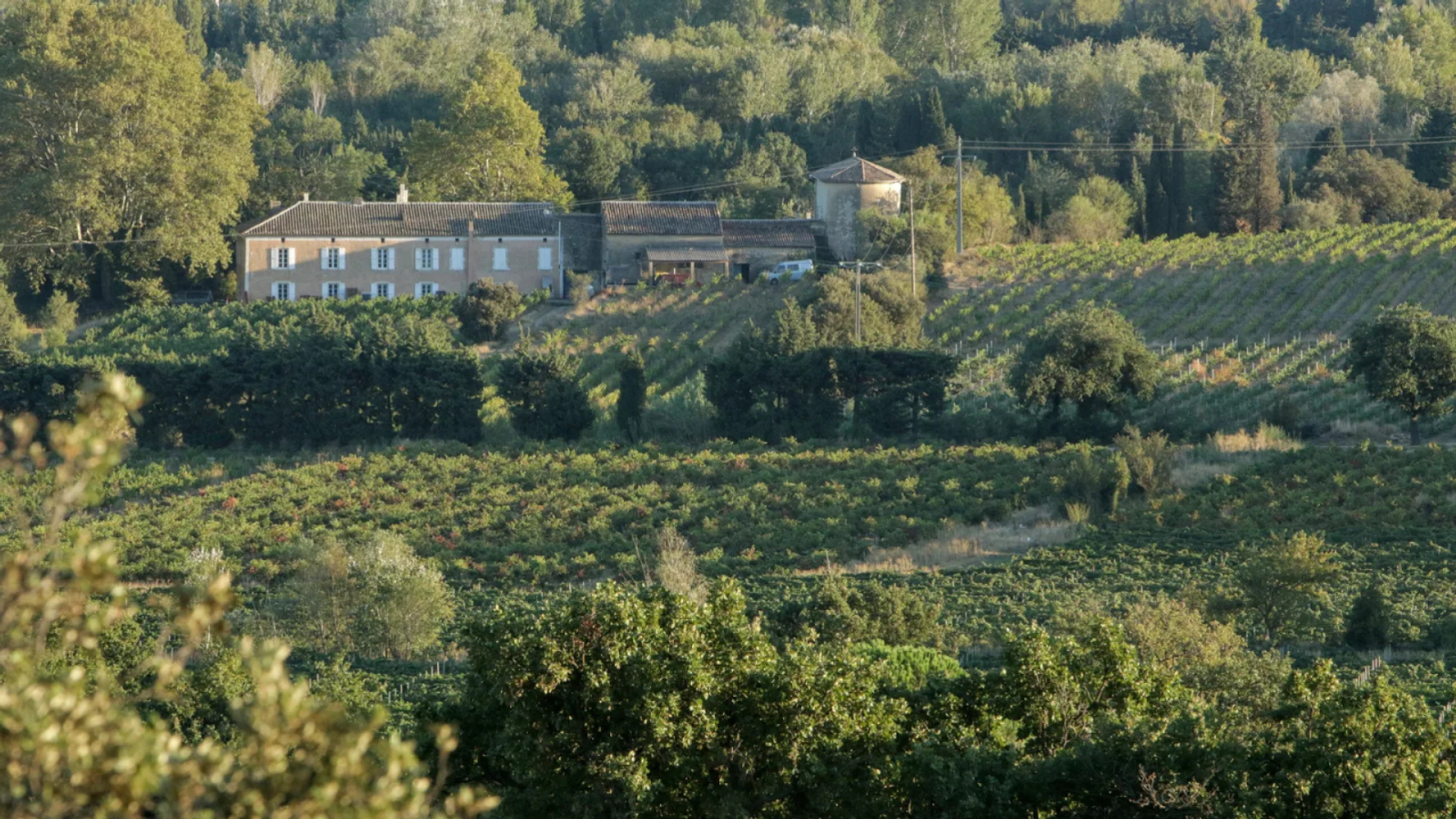 Vue sur le Château Boucarut et ses vignes