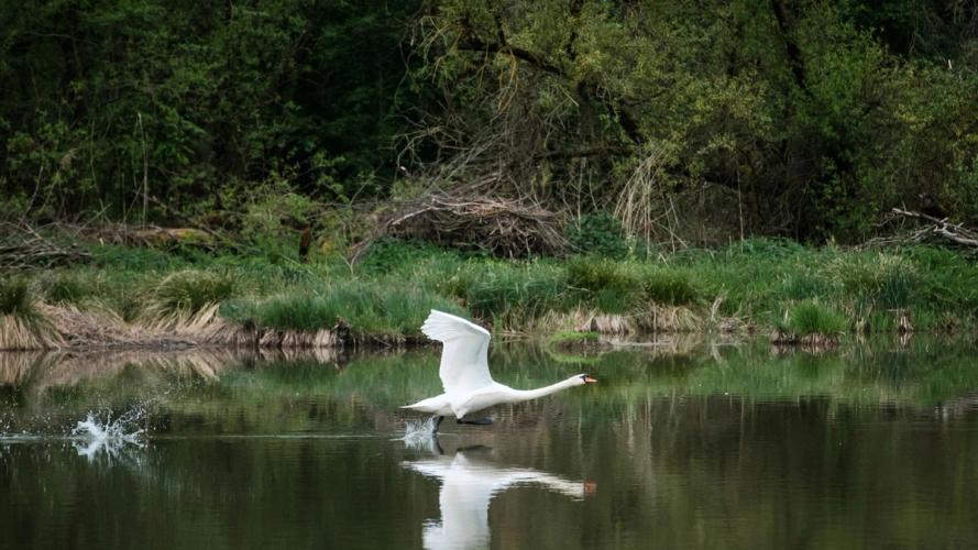 Alsace : top 6 d'activités nature et insolite