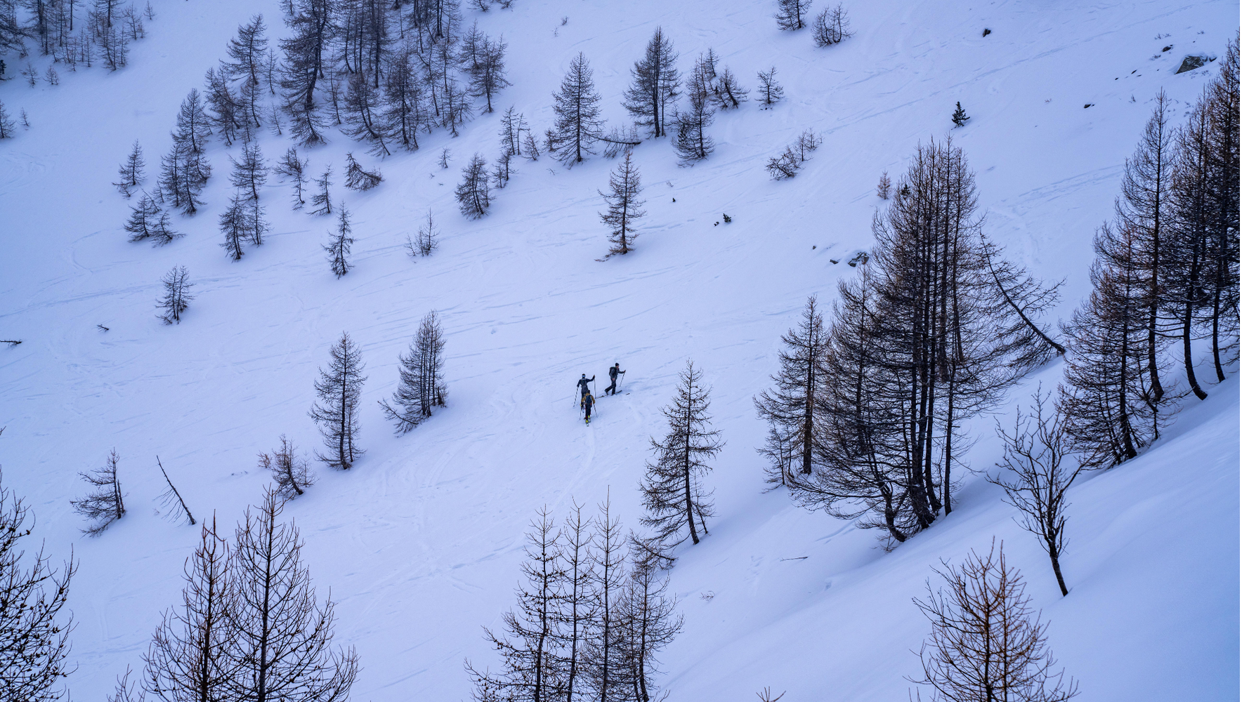 Vue aérienne avec 3 personnes en ski de fond