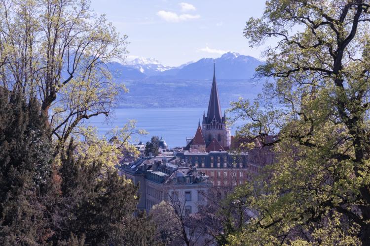 Où manger végétarien à Lausanne : Le guide des bonnes adresses