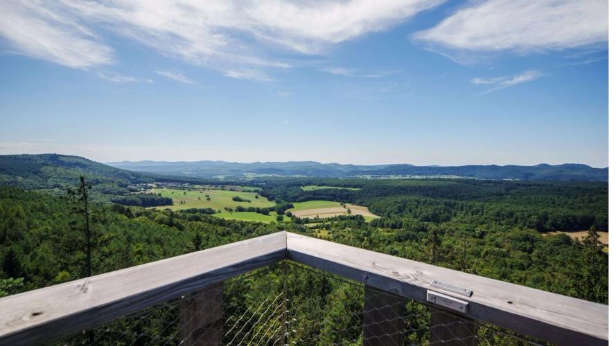 Visiter l’Alsace sans voiture : 5 coins méconnus à découvrir en train