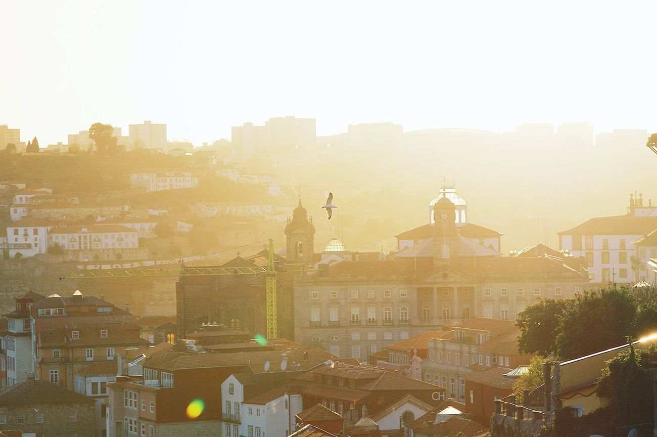 Porto — photo 1