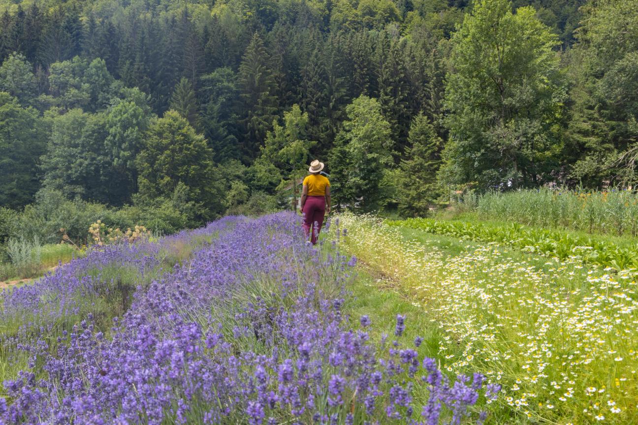 Saint-Maurice-sur-Moselle — photo 2