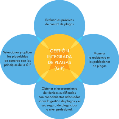 ASCENZA_IPM_Spain_PD_v01.png