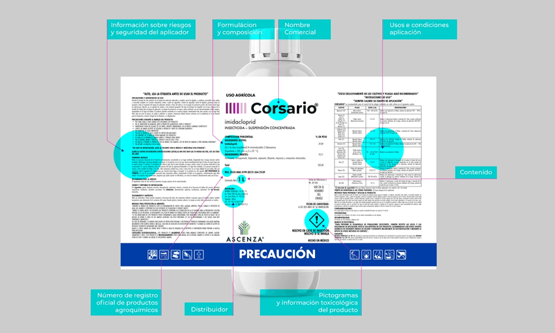 ASCENZA-Mexico_Corsario_2020_1000x600_PD_v04.png