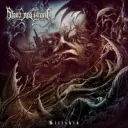 Husk In The Grain album cover