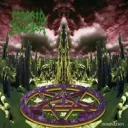 Dawn of the Angry album cover