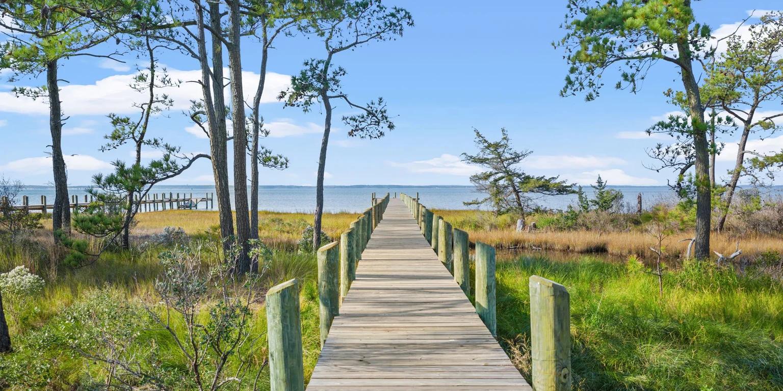 A wooden pier stretches through a marsh lined with pine trees towards open water under a blue sky.