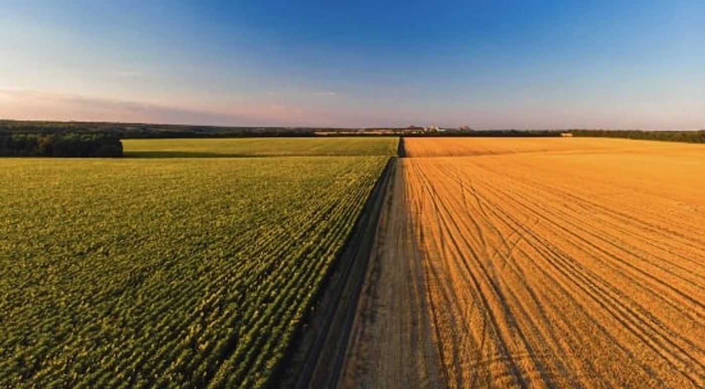 O Impacto das Mudanças Climáticas no Agronegócio Brasileiro