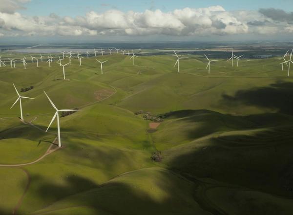 Mercado regulado de carbono no Brasil: o que a Lei 15.042/2024 muda para as empresas