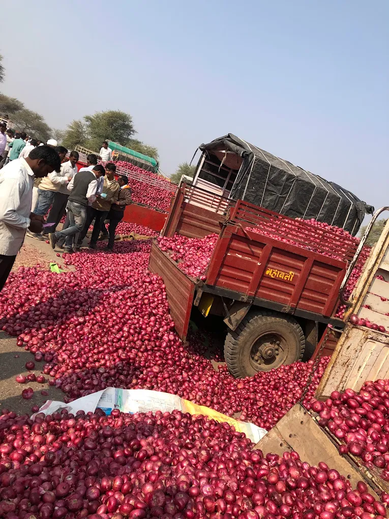 Lasalgaon Onion Market - image 4 of 6