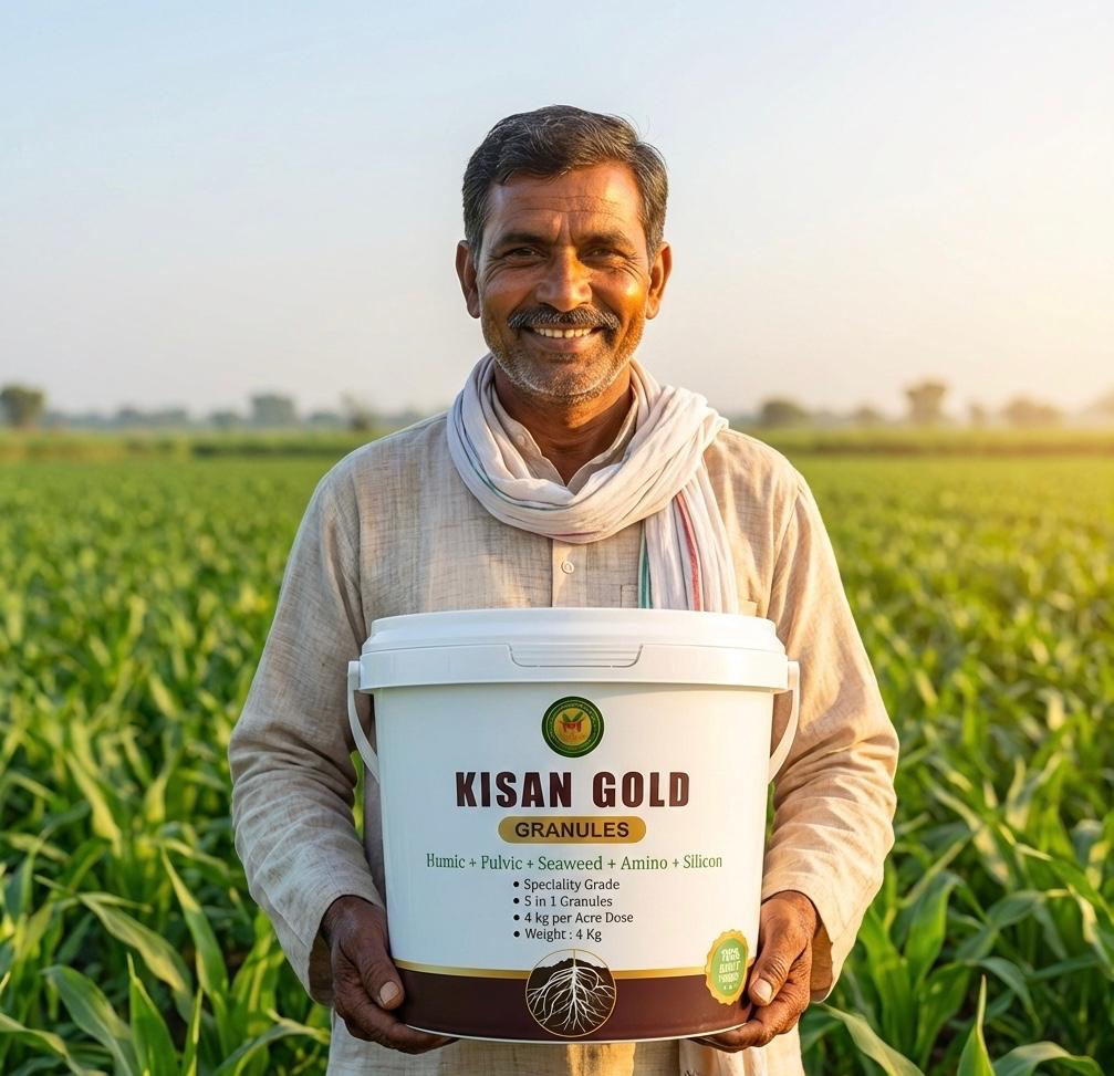 Thumbnail 2 for Kisan Gold