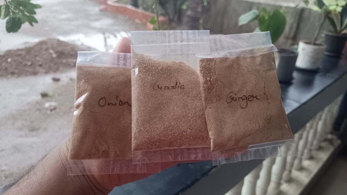 Thumbnail 3 for Organic Dehydration powder of Onion, garlic, ginger