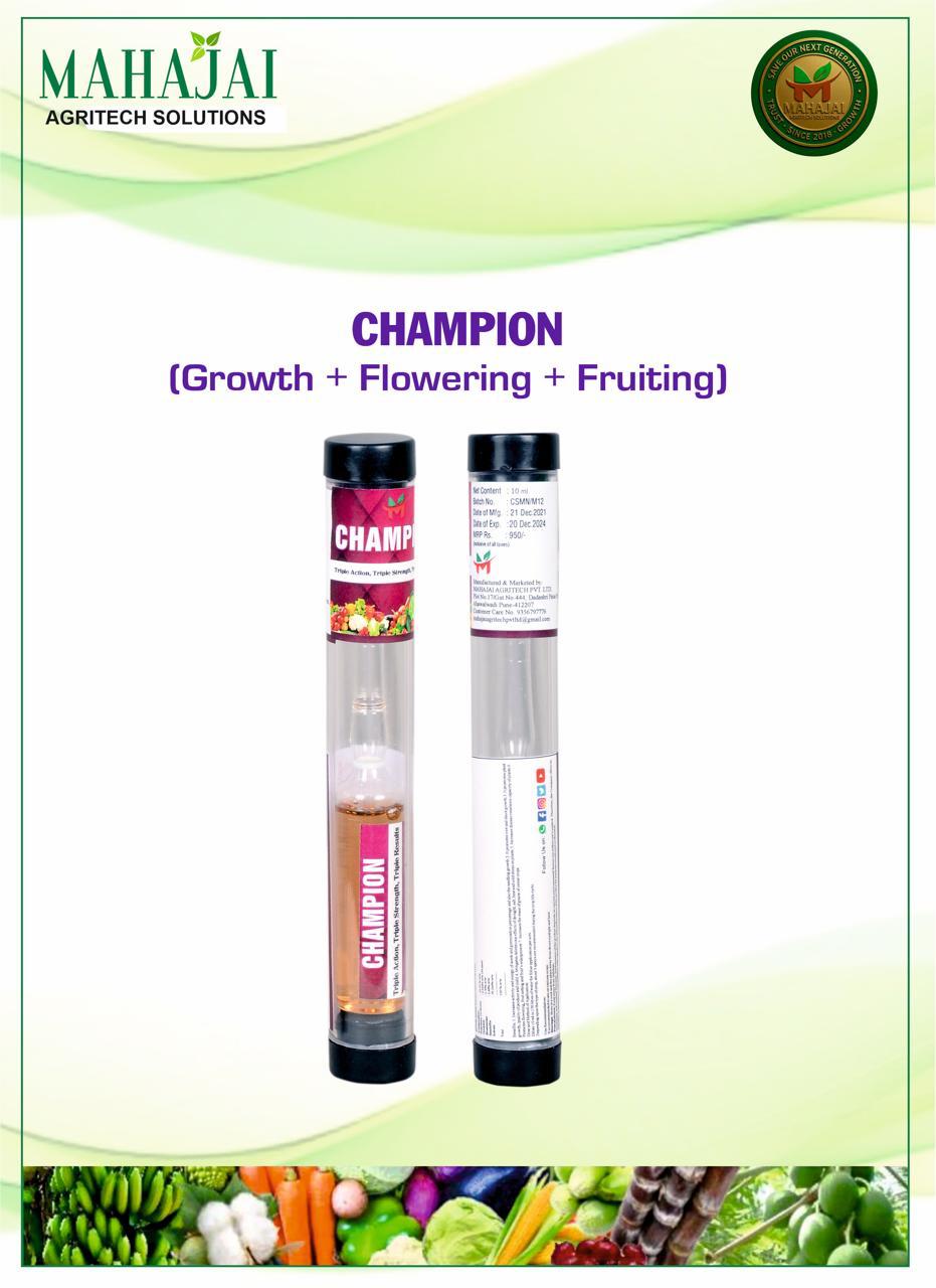 Thumbnail 4 for Champion