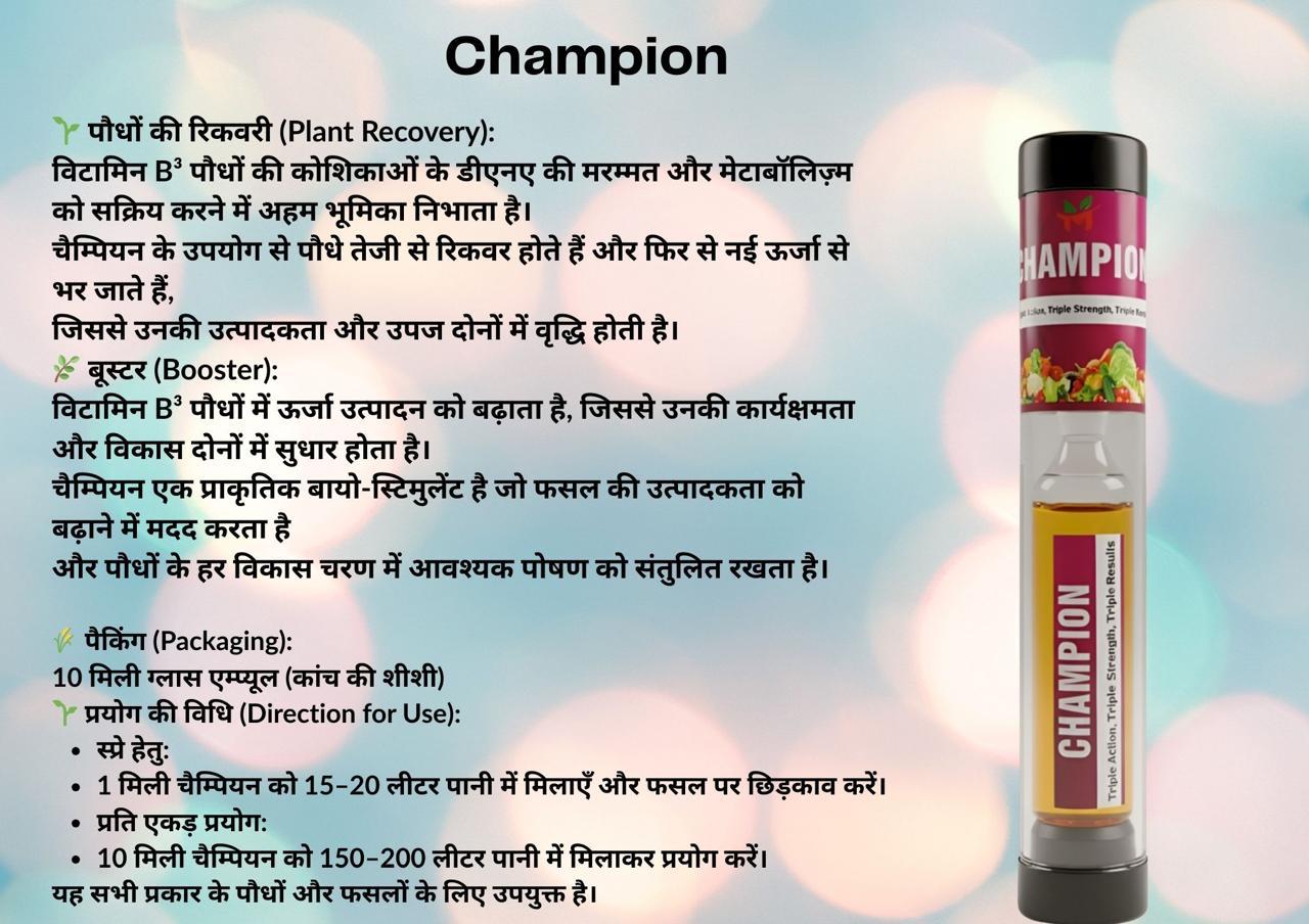 Thumbnail 5 for Champion