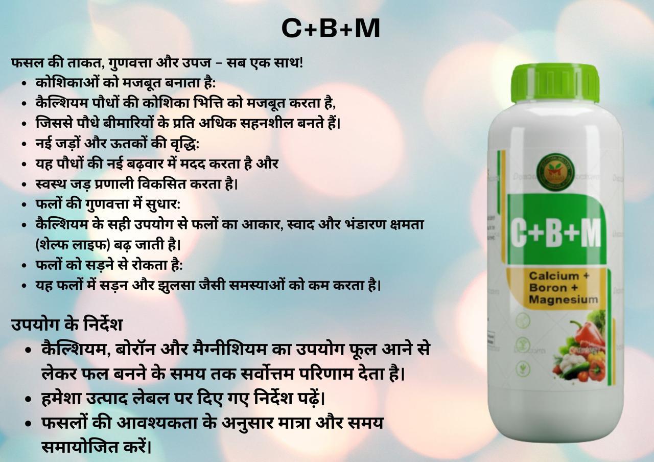 Thumbnail 2 for C+B+M