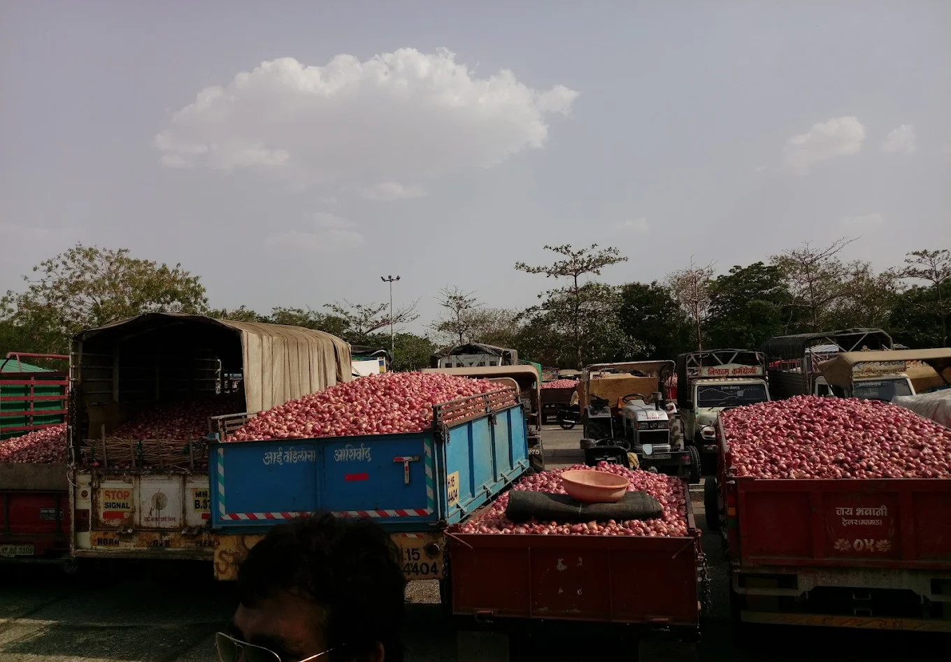 Lasalgaon Onion Market - image 3 of 6
