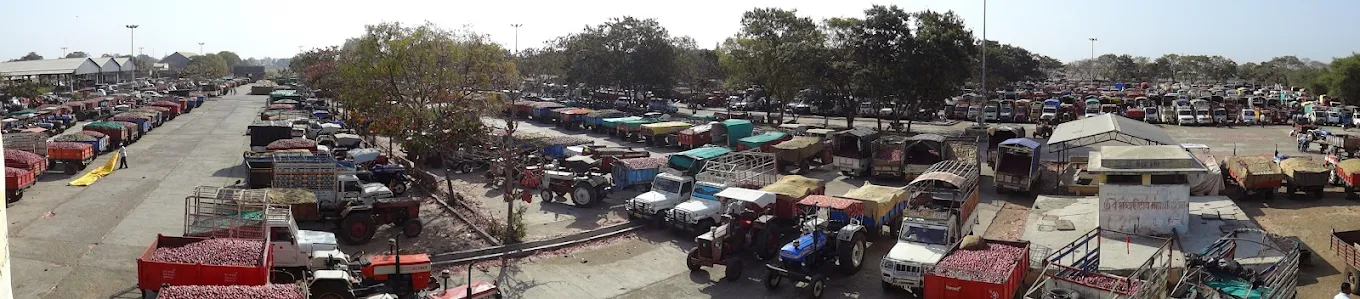 Lasalgaon Onion Market - image 6 of 6