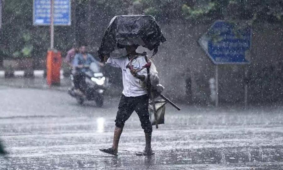 Tamil Nadu Rain Alert: Heavy Showers to Continue for Next 48 Hours