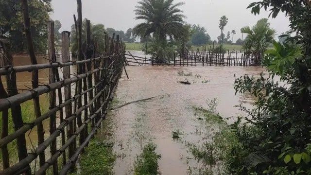 पावसाच्या तडाख्याने जनजीवन विस्कळीत; प्रशासनापुढे मोठं आव्हान