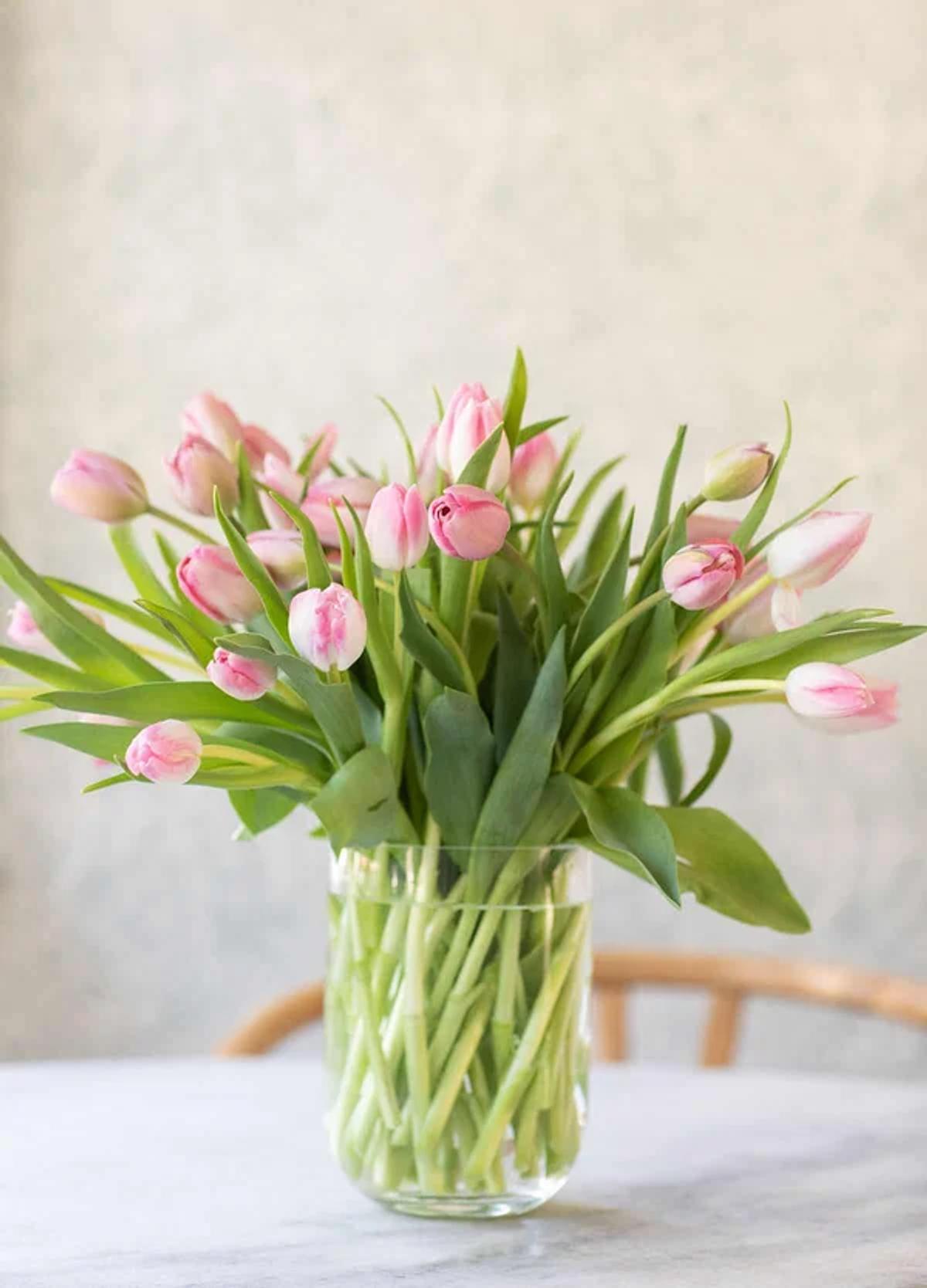 Fresh cut tulips arrangement