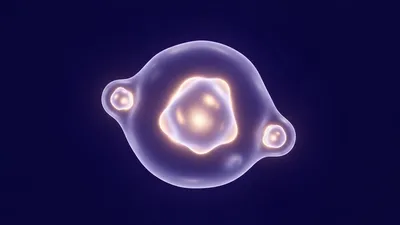 Header image for A Discreet Tally for the Production Heap