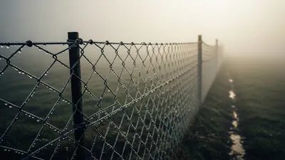 Header image for A Lattice Is Not a Curve