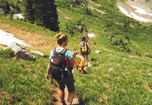Woman hiking on a hill in daytime.