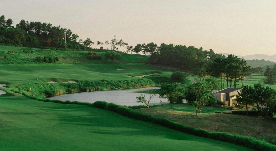 Lush green golf course with a serene pond and trees.