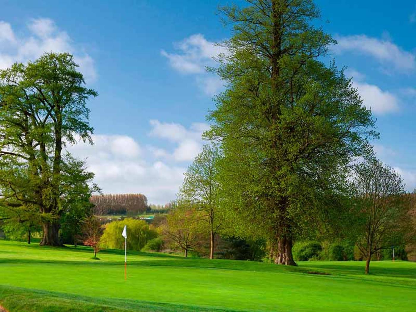 Golf green with flag lined by mature trees at Delta Hotels by Marriott Tudor Park Country Club