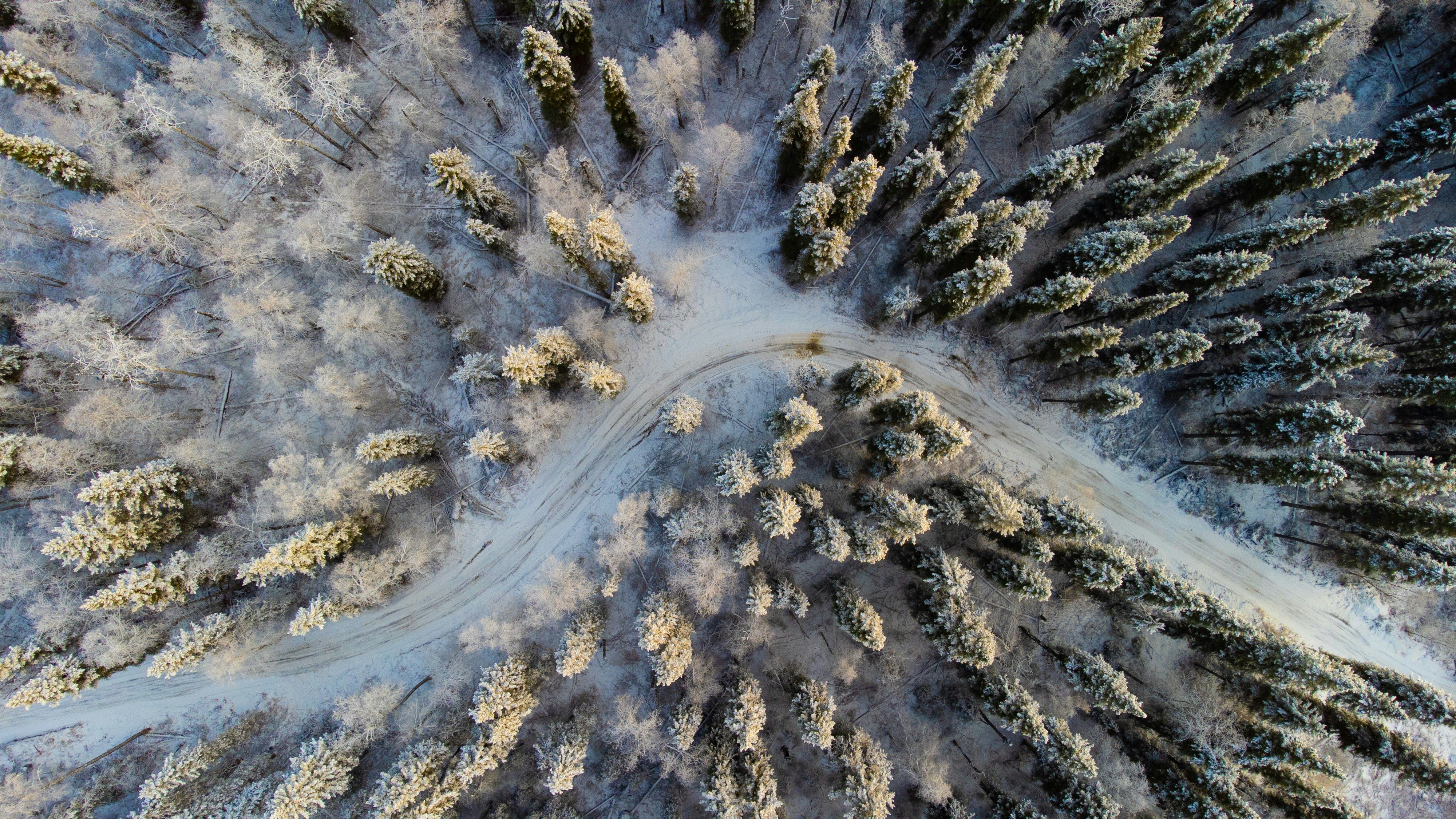 Aerial view of a winding road through a snow-covered forest.