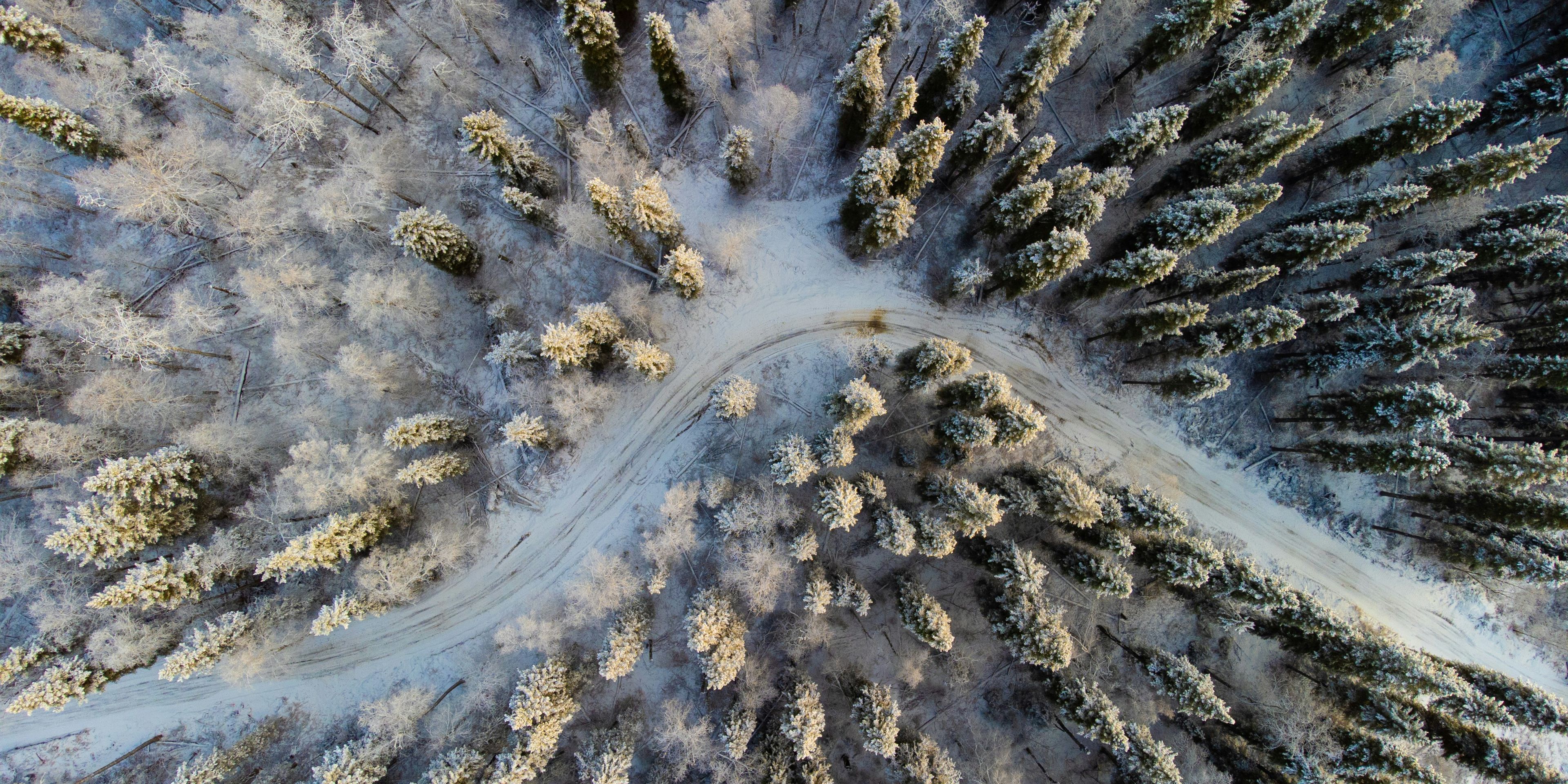Aerial view of a winding road through a snow-covered forest.