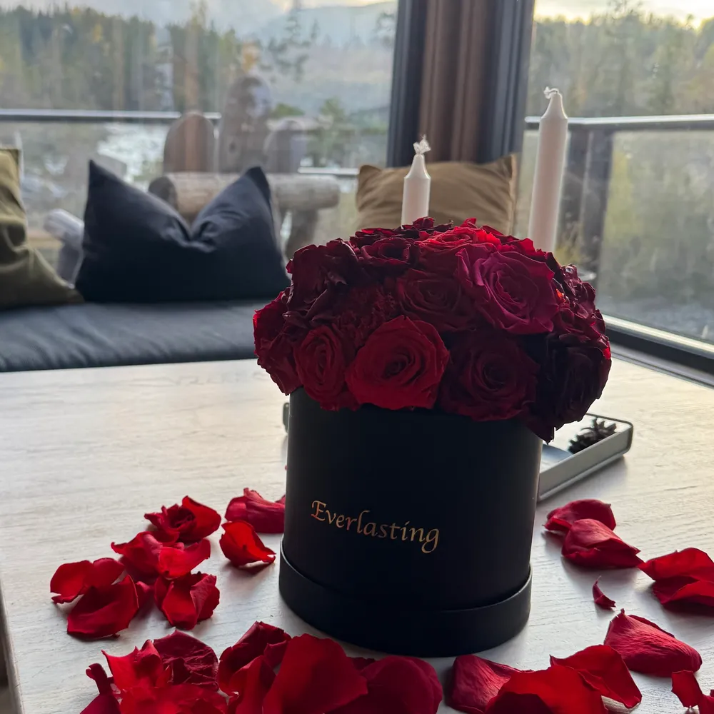 Frieri på hytte