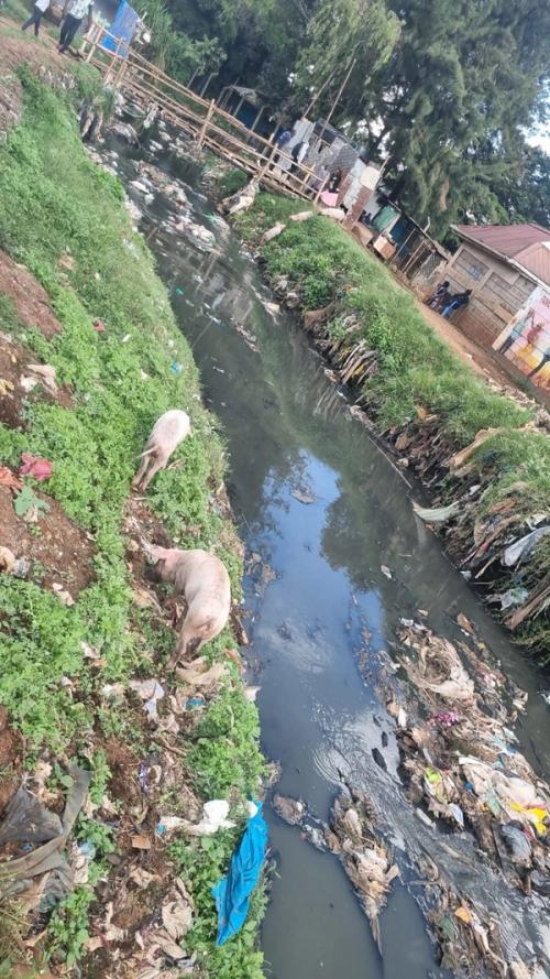 Kikuyu Rotary Club Team site visit - partnership ​​​​‌﻿‍﻿​‍​‍‌‍﻿﻿‌﻿​‍‌‍‍‌‌‍‌﻿‌‍‍‌‌‍﻿‍​‍​‍​﻿‍‍​‍​‍‌﻿​﻿‌‍​‌‌‍﻿‍‌‍‍‌‌﻿‌​‌﻿‍‌​‍﻿‍‌‍‍‌‌‍﻿﻿​‍​‍​‍﻿​​‍​‍‌‍‍​‌﻿​‍‌‍‌‌‌‍‌‍​‍​‍​﻿‍‍​‍​‍‌‍‍​‌﻿‌​‌﻿‌​‌﻿​​‌﻿​﻿​﻿‍‍​‍﻿﻿​‍﻿﻿‌﻿​﻿‌﻿‌​‌﻿‌‌‌‍‌​‌‍‍‌‌‍﻿﻿​‍﻿‍‌‍‌‌‌﻿‌​‌‍​﻿‌‍﻿﻿​‍﻿‌‌‍‍﻿‌‍‌‌‌‍﻿‍‌﻿‍‌‌‍​‌​‍﻿‍‌‍﻿﻿‌﻿​‍‌‍‌﻿​‍﻿﻿‌‍‍‌‌‍﻿‍‌﻿‌​‌‍‌‌‌‍﻿‍‌﻿‌​​‍﻿﻿‌‍‌‌‌‍‌​‌‍‍‌‌﻿‌​​‍﻿﻿‌‍﻿‌‌‍﻿﻿‌‍‌​‌‍‌‌​﻿﻿‌‌﻿​​‌﻿​‍‌‍‌‌‌﻿​﻿‌‍‌‌‌‍﻿‍‌﻿‌​‌‍​‌‌﻿‌​‌‍‍‌‌‍﻿﻿‌‍﻿‍​﻿‍﻿‌‍‍‌‌‍‌​​﻿﻿‌​﻿​‌​﻿​‌‌‍‌‍‌‍​﻿‌‍​‌‌‍​‍​﻿​​​﻿‍‌​‍﻿‌‌‍‌‌​﻿‌‍‌‍‌‍​﻿​‍​‍﻿‌​﻿‌​‌‍​﻿‌‍​﻿​﻿‌​​‍﻿‌​﻿‍‌‌‍‌‌​﻿​‌‌‍​﻿​‍﻿‌​﻿‌‌​﻿​​‌‍‌‌‌‍​‍‌‍‌‌​﻿​‌​﻿​​​﻿​﻿​﻿‌‍‌‍​‍‌‍‌‌​﻿​﻿​﻿‍﻿‌﻿‌​‌﻿‍‌‌﻿​​‌‍‌‌​﻿﻿‌‌﻿​​‌‍﻿﻿‌﻿​﻿‌﻿‌​​﻿‍﻿‌﻿​​‌‍​‌‌﻿‌​‌‍‍​​﻿﻿‌‌﻿‌​‌‍‍‌‌﻿‌​‌‍﻿​‌‍‌‌​﻿﻿﻿‌‍​‍‌‍​‌‌﻿​﻿‌‍‌‌‌‌‌‌‌﻿​‍‌‍﻿​​﻿﻿‌‌‍‍​‌﻿‌​‌﻿‌​‌﻿​​‌﻿​﻿​‍‌‌​﻿​﻿‌​​‌​‍‌‌​﻿​‍‌​‌‍​‍‌‌​﻿​‍‌​‌‍‌﻿​﻿‌﻿‌​‌﻿‌‌‌‍‌​‌‍‍‌‌‍﻿﻿​‍﻿‍‌‍‌‌‌﻿‌​‌‍​﻿‌‍﻿﻿​‍﻿‌‌‍‍﻿‌‍‌‌‌‍﻿‍‌﻿‍‌‌‍​‌​‍﻿‍‌‍﻿﻿‌﻿​‍‌‍‌﻿​‍‌‍‌‍‍‌‌‍‌​​﻿﻿‌​﻿​‌​﻿​‌‌‍‌‍‌‍​﻿‌‍​‌‌‍​‍​﻿​​​﻿‍‌​‍﻿‌‌‍‌‌​﻿‌‍‌‍‌‍​﻿​‍​‍﻿‌​﻿‌​‌‍​﻿‌‍​﻿​﻿‌​​‍﻿‌​﻿‍‌‌‍‌‌​﻿​‌‌‍​﻿​‍﻿‌​﻿‌‌​﻿​​‌‍‌‌‌‍​‍‌‍‌‌​﻿​‌​﻿​​​﻿​﻿​﻿‌‍‌‍​‍‌‍‌‌​﻿​﻿​‍‌‍‌﻿‌​‌﻿‍‌‌﻿​​‌‍‌‌​﻿﻿‌‌﻿​​‌‍﻿﻿‌﻿​﻿‌﻿‌​​‍‌‍‌﻿​​‌‍​‌‌﻿‌​‌‍‍​​﻿﻿‌‌﻿‌​‌‍‍‌‌﻿‌​‌‍﻿​‌‍‌‌​‍​‍‌﻿﻿‌