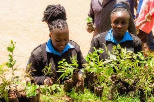 National Tree Planting Day​​​​‌﻿‍﻿​‍​‍‌‍﻿﻿‌﻿​‍‌‍‍‌‌‍‌﻿‌‍‍‌‌‍﻿‍​‍​‍​﻿‍‍​‍​‍‌﻿​﻿‌‍​‌‌‍﻿‍‌‍‍‌‌﻿‌​‌﻿‍‌​‍﻿‍‌‍‍‌‌‍﻿﻿​‍​‍​‍﻿​​‍​‍‌‍‍​‌﻿​‍‌‍‌‌‌‍‌‍​‍​‍​﻿‍‍​‍​‍‌‍‍​‌﻿‌​‌﻿‌​‌﻿​​‌﻿​﻿​﻿‍‍​‍﻿﻿​‍﻿﻿‌﻿​﻿‌﻿‌​‌﻿‌‌‌‍‌​‌‍‍‌‌‍﻿﻿​‍﻿‍‌‍‌‌‌﻿‌​‌‍​﻿‌‍﻿﻿​‍﻿‌‌‍‍﻿‌‍‌‌‌‍﻿‍‌﻿‍‌‌‍​‌​‍﻿‍‌‍﻿﻿‌﻿​‍‌‍‌﻿​‍﻿﻿‌‍‍‌‌‍﻿‍‌﻿‌​‌‍‌‌‌‍﻿‍‌﻿‌​​‍﻿﻿‌‍‌‌‌‍‌​‌‍‍‌‌﻿‌​​‍﻿﻿‌‍﻿‌‌‍﻿﻿‌‍‌​‌‍‌‌​﻿﻿‌‌﻿​​‌﻿​‍‌‍‌‌‌﻿​﻿‌‍‌‌‌‍﻿‍‌﻿‌​‌‍​‌‌﻿‌​‌‍‍‌‌‍﻿﻿‌‍﻿‍​﻿‍﻿‌‍‍‌‌‍‌​​﻿﻿‌‌‍‌​‌‍‌​‌‍​‌‌‍​﻿​﻿​﻿​﻿‍‌‌‍​﻿​﻿‌﻿​‍﻿‌​﻿‍​‌‍‌‍​﻿‌‍​﻿​‌​‍﻿‌​﻿‌​​﻿‍​​﻿‌​​﻿​‍​‍﻿‌‌‍​‍‌‍​‍​﻿​‌‌‍‌​​‍﻿‌​﻿​​‌‍‌‌‌‍​﻿​﻿‌‌​﻿‍‌‌‍‌​‌‍‌​‌‍​﻿​﻿​‌‌‍‌‍‌‍‌‌​﻿​‌​﻿‍﻿‌﻿‌​‌﻿‍‌‌﻿​​‌‍‌‌​﻿﻿‌‌﻿​​‌‍﻿﻿‌﻿​﻿‌﻿‌​​﻿‍﻿‌﻿​​‌‍​‌‌﻿‌​‌‍‍​​﻿﻿‌‌﻿‌​‌‍‍‌‌﻿‌​‌‍﻿​‌‍‌‌​﻿﻿﻿‌‍​‍‌‍​‌‌﻿​﻿‌‍‌‌‌‌‌‌‌﻿​‍‌‍﻿​​﻿﻿‌‌‍‍​‌﻿‌​‌﻿‌​‌﻿​​‌﻿​﻿​‍‌‌​﻿​﻿‌​​‌​‍‌‌​﻿​‍‌​‌‍​‍‌‌​﻿​‍‌​‌‍‌﻿​﻿‌﻿‌​‌﻿‌‌‌‍‌​‌‍‍‌‌‍﻿﻿​‍﻿‍‌‍‌‌‌﻿‌​‌‍​﻿‌‍﻿﻿​‍﻿‌‌‍‍﻿‌‍‌‌‌‍﻿‍‌﻿‍‌‌‍​‌​‍﻿‍‌‍﻿﻿‌﻿​‍‌‍‌﻿​‍‌‍‌‍‍‌‌‍‌​​﻿﻿‌‌‍‌​‌‍‌​‌‍​‌‌‍​﻿​﻿​﻿​﻿‍‌‌‍​﻿​﻿‌﻿​‍﻿‌​﻿‍​‌‍‌‍​﻿‌‍​﻿​‌​‍﻿‌​﻿‌​​﻿‍​​﻿‌​​﻿​‍​‍﻿‌‌‍​‍‌‍​‍​﻿​‌‌‍‌​​‍﻿‌​﻿​​‌‍‌‌‌‍​﻿​﻿‌‌​﻿‍‌‌‍‌​‌‍‌​‌‍​﻿​﻿​‌‌‍‌‍‌‍‌‌​﻿​‌​‍‌‍‌﻿‌​‌﻿‍‌‌﻿​​‌‍‌‌​﻿﻿‌‌﻿​​‌‍﻿﻿‌﻿​﻿‌﻿‌​​‍‌‍‌﻿​​‌‍​‌‌﻿‌​‌‍‍​​﻿﻿‌‌﻿‌​‌‍‍‌‌﻿‌​‌‍﻿​‌‍‌‌​‍​‍‌﻿﻿‌