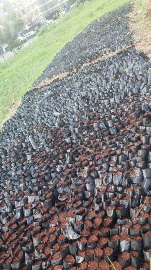 Kikuyu Rotary Club Team site visit - partnership ​​​​‌﻿‍﻿​‍​‍‌‍﻿﻿‌﻿​‍‌‍‍‌‌‍‌﻿‌‍‍‌‌‍﻿‍​‍​‍​﻿‍‍​‍​‍‌﻿​﻿‌‍​‌‌‍﻿‍‌‍‍‌‌﻿‌​‌﻿‍‌​‍﻿‍‌‍‍‌‌‍﻿﻿​‍​‍​‍﻿​​‍​‍‌‍‍​‌﻿​‍‌‍‌‌‌‍‌‍​‍​‍​﻿‍‍​‍​‍‌‍‍​‌﻿‌​‌﻿‌​‌﻿​​‌﻿​﻿​﻿‍‍​‍﻿﻿​‍﻿﻿‌﻿​﻿‌﻿‌​‌﻿‌‌‌‍‌​‌‍‍‌‌‍﻿﻿​‍﻿‍‌‍‌‌‌﻿‌​‌‍​﻿‌‍﻿﻿​‍﻿‌‌‍‍﻿‌‍‌‌‌‍﻿‍‌﻿‍‌‌‍​‌​‍﻿‍‌‍﻿﻿‌﻿​‍‌‍‌﻿​‍﻿﻿‌‍‍‌‌‍﻿‍‌﻿‌​‌‍‌‌‌‍﻿‍‌﻿‌​​‍﻿﻿‌‍‌‌‌‍‌​‌‍‍‌‌﻿‌​​‍﻿﻿‌‍﻿‌‌‍﻿﻿‌‍‌​‌‍‌‌​﻿﻿‌‌﻿​​‌﻿​‍‌‍‌‌‌﻿​﻿‌‍‌‌‌‍﻿‍‌﻿‌​‌‍​‌‌﻿‌​‌‍‍‌‌‍﻿﻿‌‍﻿‍​﻿‍﻿‌‍‍‌‌‍‌​​﻿﻿‌​﻿​‌​﻿​‌‌‍‌‍‌‍​﻿‌‍​‌‌‍​‍​﻿​​​﻿‍‌​‍﻿‌‌‍‌‌​﻿‌‍‌‍‌‍​﻿​‍​‍﻿‌​﻿‌​‌‍​﻿‌‍​﻿​﻿‌​​‍﻿‌​﻿‍‌‌‍‌‌​﻿​‌‌‍​﻿​‍﻿‌​﻿‌‌​﻿​​‌‍‌‌‌‍​‍‌‍‌‌​﻿​‌​﻿​​​﻿​﻿​﻿‌‍‌‍​‍‌‍‌‌​﻿​﻿​﻿‍﻿‌﻿‌​‌﻿‍‌‌﻿​​‌‍‌‌​﻿﻿‌‌﻿​​‌‍﻿﻿‌﻿​﻿‌﻿‌​​﻿‍﻿‌﻿​​‌‍​‌‌﻿‌​‌‍‍​​﻿﻿‌‌﻿‌​‌‍‍‌‌﻿‌​‌‍﻿​‌‍‌‌​﻿﻿﻿‌‍​‍‌‍​‌‌﻿​﻿‌‍‌‌‌‌‌‌‌﻿​‍‌‍﻿​​﻿﻿‌‌‍‍​‌﻿‌​‌﻿‌​‌﻿​​‌﻿​﻿​‍‌‌​﻿​﻿‌​​‌​‍‌‌​﻿​‍‌​‌‍​‍‌‌​﻿​‍‌​‌‍‌﻿​﻿‌﻿‌​‌﻿‌‌‌‍‌​‌‍‍‌‌‍﻿﻿​‍﻿‍‌‍‌‌‌﻿‌​‌‍​﻿‌‍﻿﻿​‍﻿‌‌‍‍﻿‌‍‌‌‌‍﻿‍‌﻿‍‌‌‍​‌​‍﻿‍‌‍﻿﻿‌﻿​‍‌‍‌﻿​‍‌‍‌‍‍‌‌‍‌​​﻿﻿‌​﻿​‌​﻿​‌‌‍‌‍‌‍​﻿‌‍​‌‌‍​‍​﻿​​​﻿‍‌​‍﻿‌‌‍‌‌​﻿‌‍‌‍‌‍​﻿​‍​‍﻿‌​﻿‌​‌‍​﻿‌‍​﻿​﻿‌​​‍﻿‌​﻿‍‌‌‍‌‌​﻿​‌‌‍​﻿​‍﻿‌​﻿‌‌​﻿​​‌‍‌‌‌‍​‍‌‍‌‌​﻿​‌​﻿​​​﻿​﻿​﻿‌‍‌‍​‍‌‍‌‌​﻿​﻿​‍‌‍‌﻿‌​‌﻿‍‌‌﻿​​‌‍‌‌​﻿﻿‌‌﻿​​‌‍﻿﻿‌﻿​﻿‌﻿‌​​‍‌‍‌﻿​​‌‍​‌‌﻿‌​‌‍‍​​﻿﻿‌‌﻿‌​‌‍‍‌‌﻿‌​‌‍﻿​‌‍‌‌​‍​‍‌﻿﻿‌