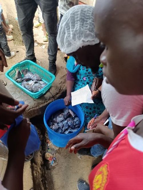 Another day for Fish - Ugali after Clean Up.​​​​‌﻿‍﻿​‍​‍‌‍﻿﻿‌﻿​‍‌‍‍‌‌‍‌﻿‌‍‍‌‌‍﻿‍​‍​‍​﻿‍‍​‍​‍‌﻿​﻿‌‍​‌‌‍﻿‍‌‍‍‌‌﻿‌​‌﻿‍‌​‍﻿‍‌‍‍‌‌‍﻿﻿​‍​‍​‍﻿​​‍​‍‌‍‍​‌﻿​‍‌‍‌‌‌‍‌‍​‍​‍​﻿‍‍​‍​‍‌‍‍​‌﻿‌​‌﻿‌​‌﻿​​‌﻿​﻿​﻿‍‍​‍﻿﻿​‍﻿﻿‌﻿​﻿‌﻿‌​‌﻿‌‌‌‍‌​‌‍‍‌‌‍﻿﻿​‍﻿‍‌‍‌‌‌﻿‌​‌‍​﻿‌‍﻿﻿​‍﻿‌‌‍‍﻿‌‍‌‌‌‍﻿‍‌﻿‍‌‌‍​‌​‍﻿‍‌‍﻿﻿‌﻿​‍‌‍‌﻿​‍﻿﻿‌‍‍‌‌‍﻿‍‌﻿‌​‌‍‌‌‌‍﻿‍‌﻿‌​​‍﻿﻿‌‍‌‌‌‍‌​‌‍‍‌‌﻿‌​​‍﻿﻿‌‍﻿‌‌‍﻿﻿‌‍‌​‌‍‌‌​﻿﻿‌‌﻿​​‌﻿​‍‌‍‌‌‌﻿​﻿‌‍‌‌‌‍﻿‍‌﻿‌​‌‍​‌‌﻿‌​‌‍‍‌‌‍﻿﻿‌‍﻿‍​﻿‍﻿‌‍‍‌‌‍‌​​﻿﻿‌‌‍​‌‌‍‌‍​﻿‍‌‌‍​﻿‌‍​‍‌‍‌​​﻿​‍​﻿‌﻿​‍﻿‌​﻿​﻿‌‍‌​‌‍‌‌​﻿​‌​‍﻿‌​﻿‌​​﻿‍​​﻿‌​​﻿‌‍​‍﻿‌‌‍​‍​﻿‌‌‌‍​‍​﻿​﻿​‍﻿‌‌‍​﻿‌‍​‍​﻿​‌‌‍‌‌​﻿‌‌‌‍‌​‌‍‌‍​﻿‍‌‌‍‌​​﻿‌‌‌‍​‍‌‍​‍​﻿‍﻿‌﻿‌​‌﻿‍‌‌﻿​​‌‍‌‌​﻿﻿‌‌﻿​​‌‍﻿﻿‌﻿​﻿‌﻿‌​​﻿‍﻿‌﻿​​‌‍​‌‌﻿‌​‌‍‍​​﻿﻿‌‌﻿‌​‌‍‍‌‌﻿‌​‌‍﻿​‌‍‌‌​﻿﻿﻿‌‍​‍‌‍​‌‌﻿​﻿‌‍‌‌‌‌‌‌‌﻿​‍‌‍﻿​​﻿﻿‌‌‍‍​‌﻿‌​‌﻿‌​‌﻿​​‌﻿​﻿​‍‌‌​﻿​﻿‌​​‌​‍‌‌​﻿​‍‌​‌‍​‍‌‌​﻿​‍‌​‌‍‌﻿​﻿‌﻿‌​‌﻿‌‌‌‍‌​‌‍‍‌‌‍﻿﻿​‍﻿‍‌‍‌‌‌﻿‌​‌‍​﻿‌‍﻿﻿​‍﻿‌‌‍‍﻿‌‍‌‌‌‍﻿‍‌﻿‍‌‌‍​‌​‍﻿‍‌‍﻿﻿‌﻿​‍‌‍‌﻿​‍‌‍‌‍‍‌‌‍‌​​﻿﻿‌‌‍​‌‌‍‌‍​﻿‍‌‌‍​﻿‌‍​‍‌‍‌​​﻿​‍​﻿‌﻿​‍﻿‌​﻿​﻿‌‍‌​‌‍‌‌​﻿​‌​‍﻿‌​﻿‌​​﻿‍​​﻿‌​​﻿‌‍​‍﻿‌‌‍​‍​﻿‌‌‌‍​‍​﻿​﻿​‍﻿‌‌‍​﻿‌‍​‍​﻿​‌‌‍‌‌​﻿‌‌‌‍‌​‌‍‌‍​﻿‍‌‌‍‌​​﻿‌‌‌‍​‍‌‍​‍​‍‌‍‌﻿‌​‌﻿‍‌‌﻿​​‌‍‌‌​﻿﻿‌‌﻿​​‌‍﻿﻿‌﻿​﻿‌﻿‌​​‍‌‍‌﻿​​‌‍​‌‌﻿‌​‌‍‍​​﻿﻿‌‌﻿‌​‌‍‍‌‌﻿‌​‌‍﻿​‌‍‌‌​‍​‍‌﻿﻿‌