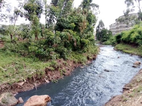 Day 2 of 3, KEPRO and PAKPRO Ngong Rivers Clean Up​​​​‌﻿‍﻿​‍​‍‌‍﻿﻿‌﻿​‍‌‍‍‌‌‍‌﻿‌‍‍‌‌‍﻿‍​‍​‍​﻿‍‍​‍​‍‌﻿​﻿‌‍​‌‌‍﻿‍‌‍‍‌‌﻿‌​‌﻿‍‌​‍﻿‍‌‍‍‌‌‍﻿﻿​‍​‍​‍﻿​​‍​‍‌‍‍​‌﻿​‍‌‍‌‌‌‍‌‍​‍​‍​﻿‍‍​‍​‍‌‍‍​‌﻿‌​‌﻿‌​‌﻿​​‌﻿​﻿​﻿‍‍​‍﻿﻿​‍﻿﻿‌﻿​﻿‌﻿‌​‌﻿‌‌‌‍‌​‌‍‍‌‌‍﻿﻿​‍﻿‍‌‍‌‌‌﻿‌​‌‍​﻿‌‍﻿﻿​‍﻿‌‌‍‍﻿‌‍‌‌‌‍﻿‍‌﻿‍‌‌‍​‌​‍﻿‍‌‍﻿﻿‌﻿​‍‌‍‌﻿​‍﻿﻿‌‍‍‌‌‍﻿‍‌﻿‌​‌‍‌‌‌‍﻿‍‌﻿‌​​‍﻿﻿‌‍‌‌‌‍‌​‌‍‍‌‌﻿‌​​‍﻿﻿‌‍﻿‌‌‍﻿﻿‌‍‌​‌‍‌‌​﻿﻿‌‌﻿​​‌﻿​‍‌‍‌‌‌﻿​﻿‌‍‌‌‌‍﻿‍‌﻿‌​‌‍​‌‌﻿‌​‌‍‍‌‌‍﻿﻿‌‍﻿‍​﻿‍﻿‌‍‍‌‌‍‌​​﻿﻿‌​﻿‌﻿​﻿‌‍​﻿‌‌​﻿​‌​﻿‍​​﻿‌​‌‍‌​‌‍​‍​‍﻿‌​﻿‍​‌‍‌​‌‍‌​​﻿‌‍​‍﻿‌​﻿‌​‌‍‌​​﻿‌‍‌‍​‌​‍﻿‌‌‍​‍​﻿‍​‌‍​‌​﻿‌‌​‍﻿‌​﻿‌‌‌‍​‌‌‍​‍‌‍​‍​﻿‍​​﻿​​‌‍‌​​﻿‌﻿‌‍‌‍‌‍​‌‌‍​‌​﻿‌‍​﻿‍﻿‌﻿‌​‌﻿‍‌‌﻿​​‌‍‌‌​﻿﻿‌‌﻿​​‌‍﻿﻿‌﻿​﻿‌﻿‌​​﻿‍﻿‌﻿​​‌‍​‌‌﻿‌​‌‍‍​​﻿﻿‌‌﻿‌​‌‍‍‌‌﻿‌​‌‍﻿​‌‍‌‌​﻿﻿﻿‌‍​‍‌‍​‌‌﻿​﻿‌‍‌‌‌‌‌‌‌﻿​‍‌‍﻿​​﻿﻿‌‌‍‍​‌﻿‌​‌﻿‌​‌﻿​​‌﻿​﻿​‍‌‌​﻿​﻿‌​​‌​‍‌‌​﻿​‍‌​‌‍​‍‌‌​﻿​‍‌​‌‍‌﻿​﻿‌﻿‌​‌﻿‌‌‌‍‌​‌‍‍‌‌‍﻿﻿​‍﻿‍‌‍‌‌‌﻿‌​‌‍​﻿‌‍﻿﻿​‍﻿‌‌‍‍﻿‌‍‌‌‌‍﻿‍‌﻿‍‌‌‍​‌​‍﻿‍‌‍﻿﻿‌﻿​‍‌‍‌﻿​‍‌‍‌‍‍‌‌‍‌​​﻿﻿‌​﻿‌﻿​﻿‌‍​﻿‌‌​﻿​‌​﻿‍​​﻿‌​‌‍‌​‌‍​‍​‍﻿‌​﻿‍​‌‍‌​‌‍‌​​﻿‌‍​‍﻿‌​﻿‌​‌‍‌​​﻿‌‍‌‍​‌​‍﻿‌‌‍​‍​﻿‍​‌‍​‌​﻿‌‌​‍﻿‌​﻿‌‌‌‍​‌‌‍​‍‌‍​‍​﻿‍​​﻿​​‌‍‌​​﻿‌﻿‌‍‌‍‌‍​‌‌‍​‌​﻿‌‍​‍‌‍‌﻿‌​‌﻿‍‌‌﻿​​‌‍‌‌​﻿﻿‌‌﻿​​‌‍﻿﻿‌﻿​﻿‌﻿‌​​‍‌‍‌﻿​​‌‍​‌‌﻿‌​‌‍‍​​﻿﻿‌‌﻿‌​‌‍‍‌‌﻿‌​‌‍﻿​‌‍‌‌​‍​‍‌﻿﻿‌