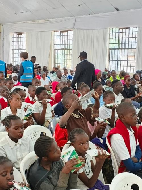 Day of an African Child 2026