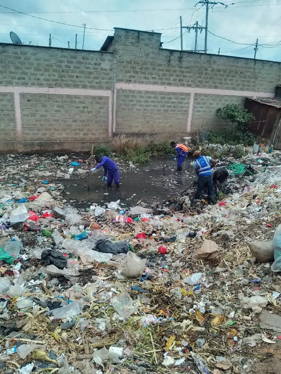 Voluntary Clean Up - Railways Estate Phase 3 field report image