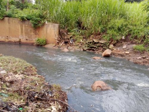 Day 1 of 3 for KAPRO & PAKPRO Ngong River Clean Up.​​​​‌﻿‍﻿​‍​‍‌‍﻿﻿‌﻿​‍‌‍‍‌‌‍‌﻿‌‍‍‌‌‍﻿‍​‍​‍​﻿‍‍​‍​‍‌﻿​﻿‌‍​‌‌‍﻿‍‌‍‍‌‌﻿‌​‌﻿‍‌​‍﻿‍‌‍‍‌‌‍﻿﻿​‍​‍​‍﻿​​‍​‍‌‍‍​‌﻿​‍‌‍‌‌‌‍‌‍​‍​‍​﻿‍‍​‍​‍‌‍‍​‌﻿‌​‌﻿‌​‌﻿​​‌﻿​﻿​﻿‍‍​‍﻿﻿​‍﻿﻿‌﻿​﻿‌﻿‌​‌﻿‌‌‌‍‌​‌‍‍‌‌‍﻿﻿​‍﻿‍‌‍‌‌‌﻿‌​‌‍​﻿‌‍﻿﻿​‍﻿‌‌‍‍﻿‌‍‌‌‌‍﻿‍‌﻿‍‌‌‍​‌​‍﻿‍‌‍﻿﻿‌﻿​‍‌‍‌﻿​‍﻿﻿‌‍‍‌‌‍﻿‍‌﻿‌​‌‍‌‌‌‍﻿‍‌﻿‌​​‍﻿﻿‌‍‌‌‌‍‌​‌‍‍‌‌﻿‌​​‍﻿﻿‌‍﻿‌‌‍﻿﻿‌‍‌​‌‍‌‌​﻿﻿‌‌﻿​​‌﻿​‍‌‍‌‌‌﻿​﻿‌‍‌‌‌‍﻿‍‌﻿‌​‌‍​‌‌﻿‌​‌‍‍‌‌‍﻿﻿‌‍﻿‍​﻿‍﻿‌‍‍‌‌‍‌​​﻿﻿‌​﻿​‍​﻿‌‌​﻿‌‍‌‍‌‍​﻿‍‌‌‍​﻿‌‍​﻿​﻿‌​​‍﻿‌‌‍‌‌‌‍​‍​﻿‍‌‌‍‌‍​‍﻿‌​﻿‌​​﻿​﻿​﻿‍​‌‍‌‌​‍﻿‌‌‍​‍‌‍​﻿​﻿‌‍​﻿‍​​‍﻿‌​﻿​‍​﻿​﻿‌‍‌‍​﻿‌‍​﻿‍‌​﻿​​​﻿​‍​﻿‌​​﻿‌﻿​﻿​‌​﻿‌‍​﻿​﻿​﻿‍﻿‌﻿‌​‌﻿‍‌‌﻿​​‌‍‌‌​﻿﻿‌‌﻿​​‌‍﻿﻿‌﻿​﻿‌﻿‌​​﻿‍﻿‌﻿​​‌‍​‌‌﻿‌​‌‍‍​​﻿﻿‌‌﻿‌​‌‍‍‌‌﻿‌​‌‍﻿​‌‍‌‌​﻿﻿﻿‌‍​‍‌‍​‌‌﻿​﻿‌‍‌‌‌‌‌‌‌﻿​‍‌‍﻿​​﻿﻿‌‌‍‍​‌﻿‌​‌﻿‌​‌﻿​​‌﻿​﻿​‍‌‌​﻿​﻿‌​​‌​‍‌‌​﻿​‍‌​‌‍​‍‌‌​﻿​‍‌​‌‍‌﻿​﻿‌﻿‌​‌﻿‌‌‌‍‌​‌‍‍‌‌‍﻿﻿​‍﻿‍‌‍‌‌‌﻿‌​‌‍​﻿‌‍﻿﻿​‍﻿‌‌‍‍﻿‌‍‌‌‌‍﻿‍‌﻿‍‌‌‍​‌​‍﻿‍‌‍﻿﻿‌﻿​‍‌‍‌﻿​‍‌‍‌‍‍‌‌‍‌​​﻿﻿‌​﻿​‍​﻿‌‌​﻿‌‍‌‍‌‍​﻿‍‌‌‍​﻿‌‍​﻿​﻿‌​​‍﻿‌‌‍‌‌‌‍​‍​﻿‍‌‌‍‌‍​‍﻿‌​﻿‌​​﻿​﻿​﻿‍​‌‍‌‌​‍﻿‌‌‍​‍‌‍​﻿​﻿‌‍​﻿‍​​‍﻿‌​﻿​‍​﻿​﻿‌‍‌‍​﻿‌‍​﻿‍‌​﻿​​​﻿​‍​﻿‌​​﻿‌﻿​﻿​‌​﻿‌‍​﻿​﻿​‍‌‍‌﻿‌​‌﻿‍‌‌﻿​​‌‍‌‌​﻿﻿‌‌﻿​​‌‍﻿﻿‌﻿​﻿‌﻿‌​​‍‌‍‌﻿​​‌‍​‌‌﻿‌​‌‍‍​​﻿﻿‌‌﻿‌​‌‍‍‌‌﻿‌​‌‍﻿​‌‍‌‌​‍​‍‌﻿﻿‌