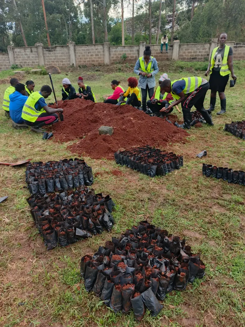 Filling Potting Potting Bags - Nairobi Dam Tree Nursery 