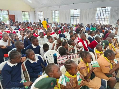 Day of an African Child 2026