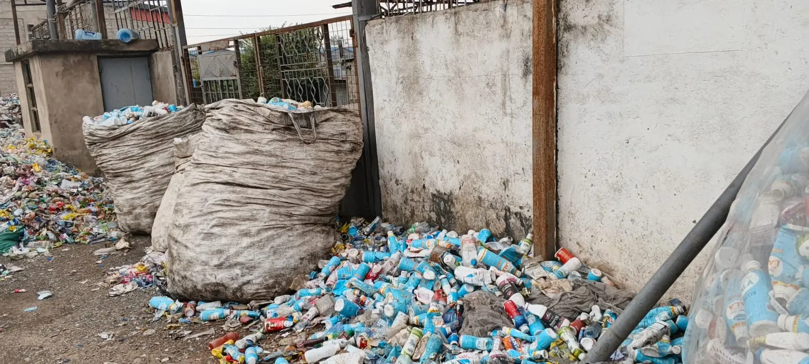 Field report gallery image 3: Creating Impact, Building a Better Tomorrow