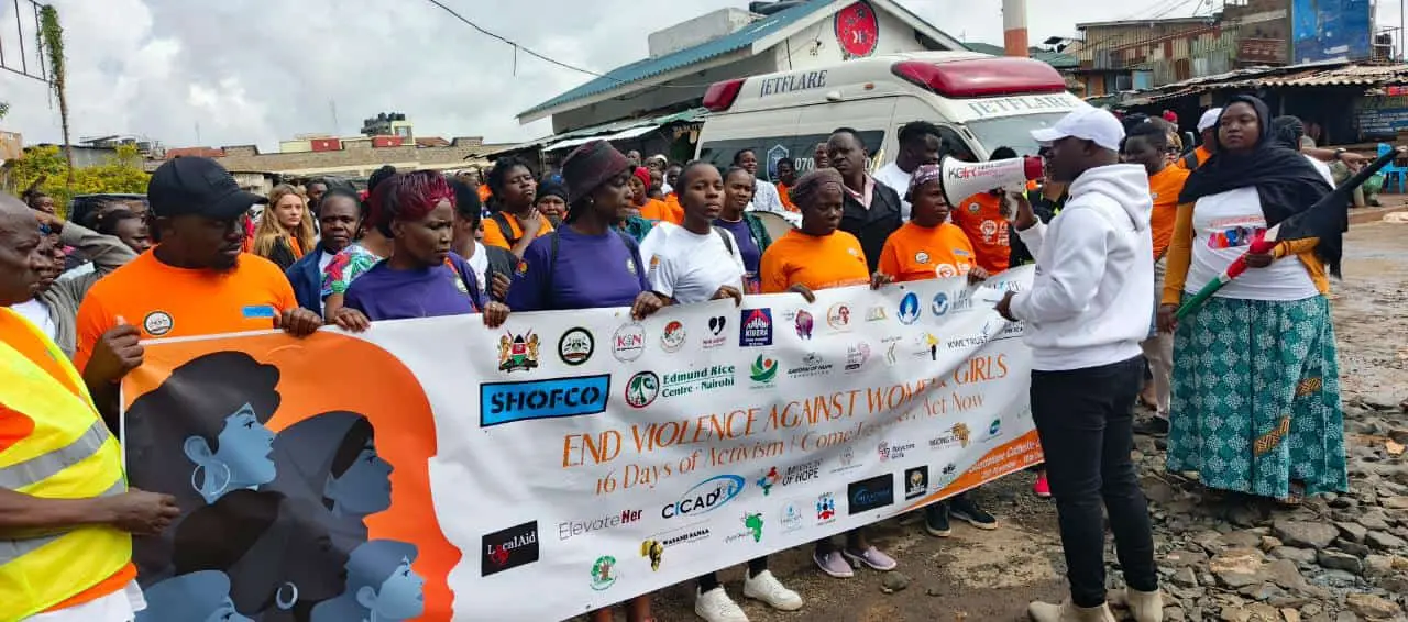 16 Days of Activism against GBV Launch field report image