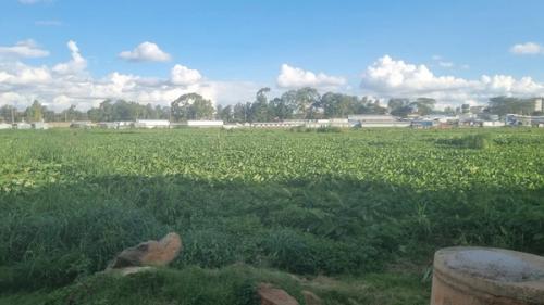 Kikuyu Rotary Club Team site visit - partnership ​​​​‌﻿‍﻿​‍​‍‌‍﻿﻿‌﻿​‍‌‍‍‌‌‍‌﻿‌‍‍‌‌‍﻿‍​‍​‍​﻿‍‍​‍​‍‌﻿​﻿‌‍​‌‌‍﻿‍‌‍‍‌‌﻿‌​‌﻿‍‌​‍﻿‍‌‍‍‌‌‍﻿﻿​‍​‍​‍﻿​​‍​‍‌‍‍​‌﻿​‍‌‍‌‌‌‍‌‍​‍​‍​﻿‍‍​‍​‍‌‍‍​‌﻿‌​‌﻿‌​‌﻿​​‌﻿​﻿​﻿‍‍​‍﻿﻿​‍﻿﻿‌﻿​﻿‌﻿‌​‌﻿‌‌‌‍‌​‌‍‍‌‌‍﻿﻿​‍﻿‍‌‍‌‌‌﻿‌​‌‍​﻿‌‍﻿﻿​‍﻿‌‌‍‍﻿‌‍‌‌‌‍﻿‍‌﻿‍‌‌‍​‌​‍﻿‍‌‍﻿﻿‌﻿​‍‌‍‌﻿​‍﻿﻿‌‍‍‌‌‍﻿‍‌﻿‌​‌‍‌‌‌‍﻿‍‌﻿‌​​‍﻿﻿‌‍‌‌‌‍‌​‌‍‍‌‌﻿‌​​‍﻿﻿‌‍﻿‌‌‍﻿﻿‌‍‌​‌‍‌‌​﻿﻿‌‌﻿​​‌﻿​‍‌‍‌‌‌﻿​﻿‌‍‌‌‌‍﻿‍‌﻿‌​‌‍​‌‌﻿‌​‌‍‍‌‌‍﻿﻿‌‍﻿‍​﻿‍﻿‌‍‍‌‌‍‌​​﻿﻿‌​﻿​‌​﻿​‌‌‍‌‍‌‍​﻿‌‍​‌‌‍​‍​﻿​​​﻿‍‌​‍﻿‌‌‍‌‌​﻿‌‍‌‍‌‍​﻿​‍​‍﻿‌​﻿‌​‌‍​﻿‌‍​﻿​﻿‌​​‍﻿‌​﻿‍‌‌‍‌‌​﻿​‌‌‍​﻿​‍﻿‌​﻿‌‌​﻿​​‌‍‌‌‌‍​‍‌‍‌‌​﻿​‌​﻿​​​﻿​﻿​﻿‌‍‌‍​‍‌‍‌‌​﻿​﻿​﻿‍﻿‌﻿‌​‌﻿‍‌‌﻿​​‌‍‌‌​﻿﻿‌‌﻿​​‌‍﻿﻿‌﻿​﻿‌﻿‌​​﻿‍﻿‌﻿​​‌‍​‌‌﻿‌​‌‍‍​​﻿﻿‌‌﻿‌​‌‍‍‌‌﻿‌​‌‍﻿​‌‍‌‌​﻿﻿﻿‌‍​‍‌‍​‌‌﻿​﻿‌‍‌‌‌‌‌‌‌﻿​‍‌‍﻿​​﻿﻿‌‌‍‍​‌﻿‌​‌﻿‌​‌﻿​​‌﻿​﻿​‍‌‌​﻿​﻿‌​​‌​‍‌‌​﻿​‍‌​‌‍​‍‌‌​﻿​‍‌​‌‍‌﻿​﻿‌﻿‌​‌﻿‌‌‌‍‌​‌‍‍‌‌‍﻿﻿​‍﻿‍‌‍‌‌‌﻿‌​‌‍​﻿‌‍﻿﻿​‍﻿‌‌‍‍﻿‌‍‌‌‌‍﻿‍‌﻿‍‌‌‍​‌​‍﻿‍‌‍﻿﻿‌﻿​‍‌‍‌﻿​‍‌‍‌‍‍‌‌‍‌​​﻿﻿‌​﻿​‌​﻿​‌‌‍‌‍‌‍​﻿‌‍​‌‌‍​‍​﻿​​​﻿‍‌​‍﻿‌‌‍‌‌​﻿‌‍‌‍‌‍​﻿​‍​‍﻿‌​﻿‌​‌‍​﻿‌‍​﻿​﻿‌​​‍﻿‌​﻿‍‌‌‍‌‌​﻿​‌‌‍​﻿​‍﻿‌​﻿‌‌​﻿​​‌‍‌‌‌‍​‍‌‍‌‌​﻿​‌​﻿​​​﻿​﻿​﻿‌‍‌‍​‍‌‍‌‌​﻿​﻿​‍‌‍‌﻿‌​‌﻿‍‌‌﻿​​‌‍‌‌​﻿﻿‌‌﻿​​‌‍﻿﻿‌﻿​﻿‌﻿‌​​‍‌‍‌﻿​​‌‍​‌‌﻿‌​‌‍‍​​﻿﻿‌‌﻿‌​‌‍‍‌‌﻿‌​‌‍﻿​‌‍‌‌​‍​‍‌﻿﻿‌