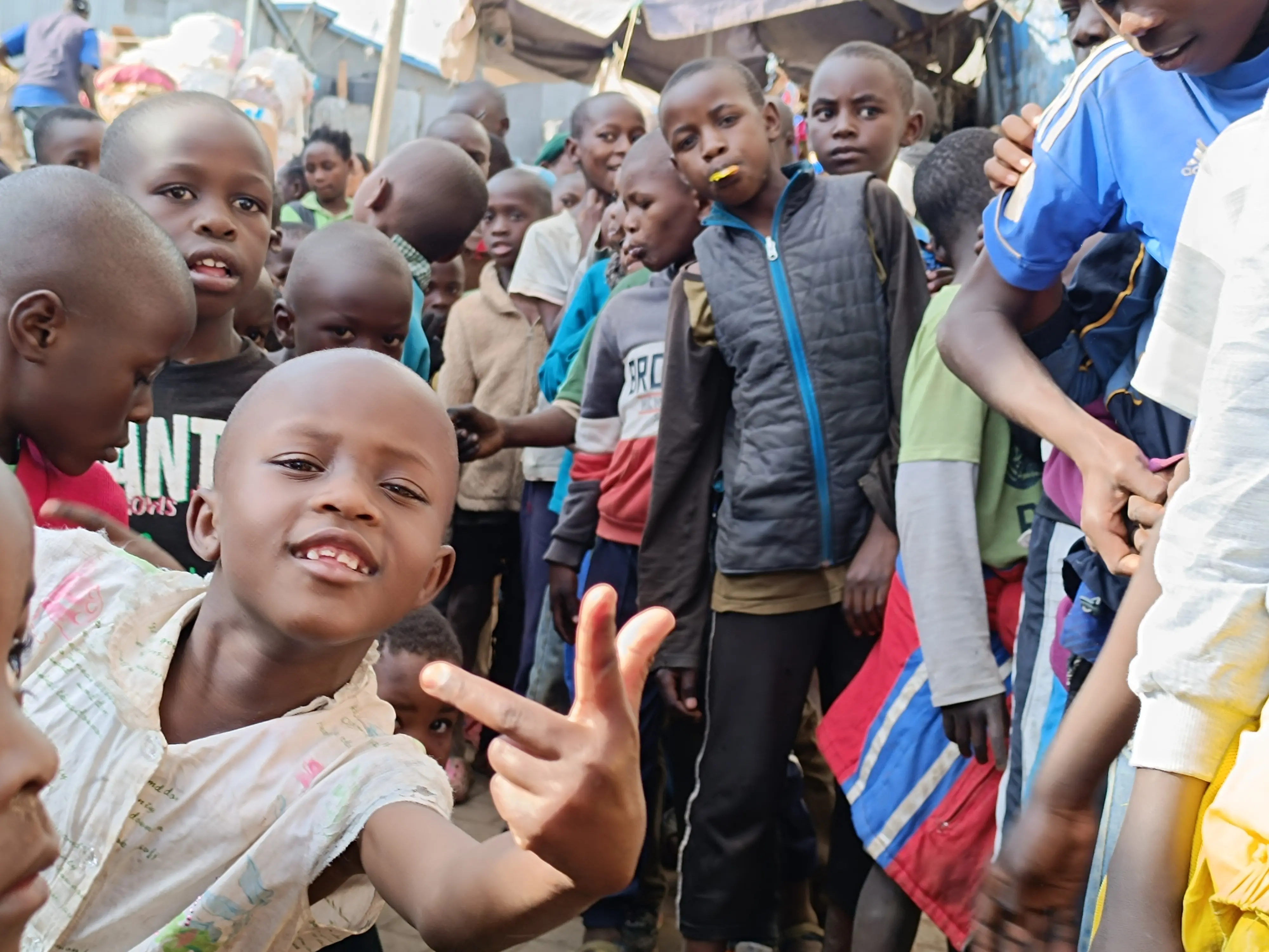 Field report gallery image 1: The Joy of Life