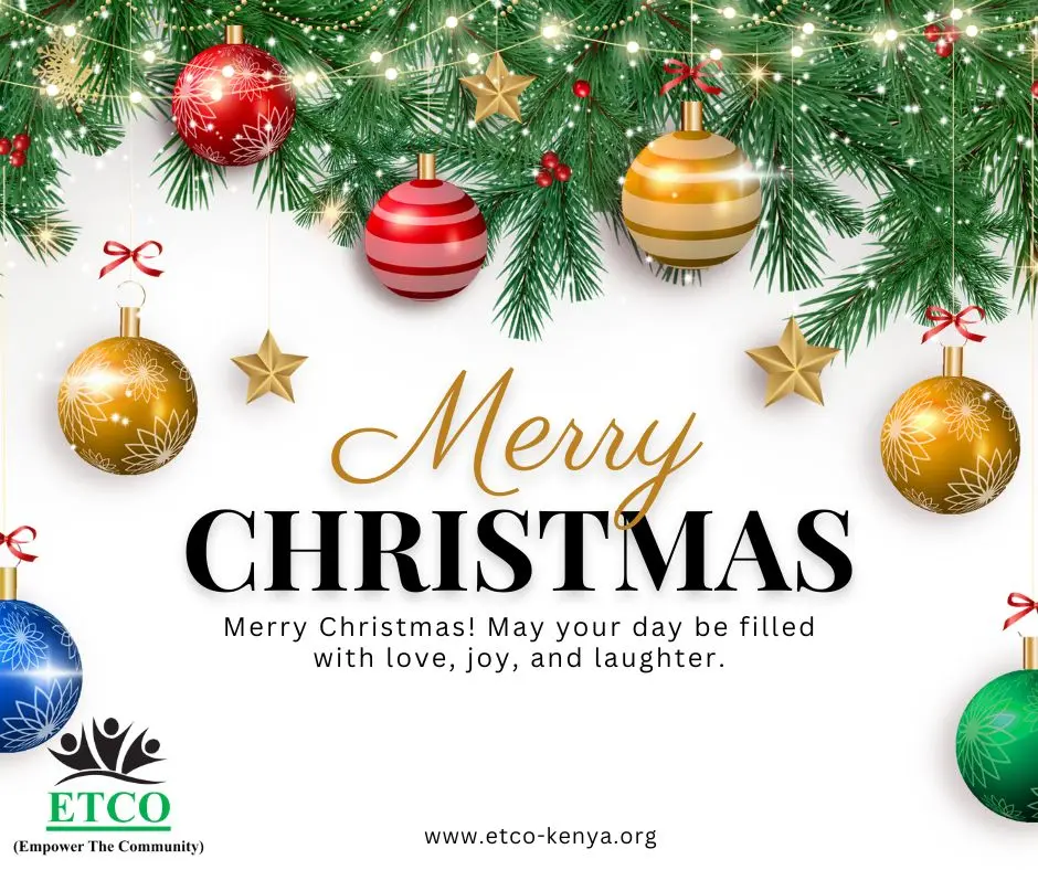 Merry Christmas field report image
