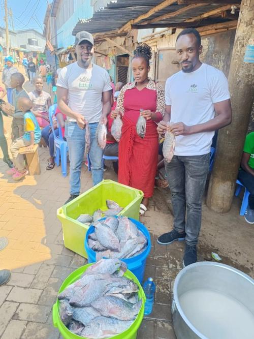 Another day for Fish - Ugali after Clean Up.​​​​‌﻿‍﻿​‍​‍‌‍﻿﻿‌﻿​‍‌‍‍‌‌‍‌﻿‌‍‍‌‌‍﻿‍​‍​‍​﻿‍‍​‍​‍‌﻿​﻿‌‍​‌‌‍﻿‍‌‍‍‌‌﻿‌​‌﻿‍‌​‍﻿‍‌‍‍‌‌‍﻿﻿​‍​‍​‍﻿​​‍​‍‌‍‍​‌﻿​‍‌‍‌‌‌‍‌‍​‍​‍​﻿‍‍​‍​‍‌‍‍​‌﻿‌​‌﻿‌​‌﻿​​‌﻿​﻿​﻿‍‍​‍﻿﻿​‍﻿﻿‌﻿​﻿‌﻿‌​‌﻿‌‌‌‍‌​‌‍‍‌‌‍﻿﻿​‍﻿‍‌‍‌‌‌﻿‌​‌‍​﻿‌‍﻿﻿​‍﻿‌‌‍‍﻿‌‍‌‌‌‍﻿‍‌﻿‍‌‌‍​‌​‍﻿‍‌‍﻿﻿‌﻿​‍‌‍‌﻿​‍﻿﻿‌‍‍‌‌‍﻿‍‌﻿‌​‌‍‌‌‌‍﻿‍‌﻿‌​​‍﻿﻿‌‍‌‌‌‍‌​‌‍‍‌‌﻿‌​​‍﻿﻿‌‍﻿‌‌‍﻿﻿‌‍‌​‌‍‌‌​﻿﻿‌‌﻿​​‌﻿​‍‌‍‌‌‌﻿​﻿‌‍‌‌‌‍﻿‍‌﻿‌​‌‍​‌‌﻿‌​‌‍‍‌‌‍﻿﻿‌‍﻿‍​﻿‍﻿‌‍‍‌‌‍‌​​﻿﻿‌‌‍​‌‌‍‌‍​﻿‍‌‌‍​﻿‌‍​‍‌‍‌​​﻿​‍​﻿‌﻿​‍﻿‌​﻿​﻿‌‍‌​‌‍‌‌​﻿​‌​‍﻿‌​﻿‌​​﻿‍​​﻿‌​​﻿‌‍​‍﻿‌‌‍​‍​﻿‌‌‌‍​‍​﻿​﻿​‍﻿‌‌‍​﻿‌‍​‍​﻿​‌‌‍‌‌​﻿‌‌‌‍‌​‌‍‌‍​﻿‍‌‌‍‌​​﻿‌‌‌‍​‍‌‍​‍​﻿‍﻿‌﻿‌​‌﻿‍‌‌﻿​​‌‍‌‌​﻿﻿‌‌﻿​​‌‍﻿﻿‌﻿​﻿‌﻿‌​​﻿‍﻿‌﻿​​‌‍​‌‌﻿‌​‌‍‍​​﻿﻿‌‌﻿‌​‌‍‍‌‌﻿‌​‌‍﻿​‌‍‌‌​﻿﻿﻿‌‍​‍‌‍​‌‌﻿​﻿‌‍‌‌‌‌‌‌‌﻿​‍‌‍﻿​​﻿﻿‌‌‍‍​‌﻿‌​‌﻿‌​‌﻿​​‌﻿​﻿​‍‌‌​﻿​﻿‌​​‌​‍‌‌​﻿​‍‌​‌‍​‍‌‌​﻿​‍‌​‌‍‌﻿​﻿‌﻿‌​‌﻿‌‌‌‍‌​‌‍‍‌‌‍﻿﻿​‍﻿‍‌‍‌‌‌﻿‌​‌‍​﻿‌‍﻿﻿​‍﻿‌‌‍‍﻿‌‍‌‌‌‍﻿‍‌﻿‍‌‌‍​‌​‍﻿‍‌‍﻿﻿‌﻿​‍‌‍‌﻿​‍‌‍‌‍‍‌‌‍‌​​﻿﻿‌‌‍​‌‌‍‌‍​﻿‍‌‌‍​﻿‌‍​‍‌‍‌​​﻿​‍​﻿‌﻿​‍﻿‌​﻿​﻿‌‍‌​‌‍‌‌​﻿​‌​‍﻿‌​﻿‌​​﻿‍​​﻿‌​​﻿‌‍​‍﻿‌‌‍​‍​﻿‌‌‌‍​‍​﻿​﻿​‍﻿‌‌‍​﻿‌‍​‍​﻿​‌‌‍‌‌​﻿‌‌‌‍‌​‌‍‌‍​﻿‍‌‌‍‌​​﻿‌‌‌‍​‍‌‍​‍​‍‌‍‌﻿‌​‌﻿‍‌‌﻿​​‌‍‌‌​﻿﻿‌‌﻿​​‌‍﻿﻿‌﻿​﻿‌﻿‌​​‍‌‍‌﻿​​‌‍​‌‌﻿‌​‌‍‍​​﻿﻿‌‌﻿‌​‌‍‍‌‌﻿‌​‌‍﻿​‌‍‌‌​‍​‍‌﻿﻿‌